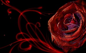Rose art