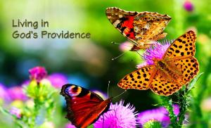 Living in God's Providence - Karina's Thought